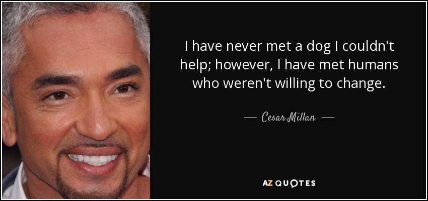 I have never met a dog I couldn't help; however, I have met humans who weren't willing to change. - Cesar Millan