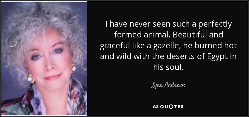 I have never seen such a perfectly formed animal. Beautiful and graceful like a gazelle, he burned hot and wild with the deserts of Egypt in his soul. - Lynn Andrews