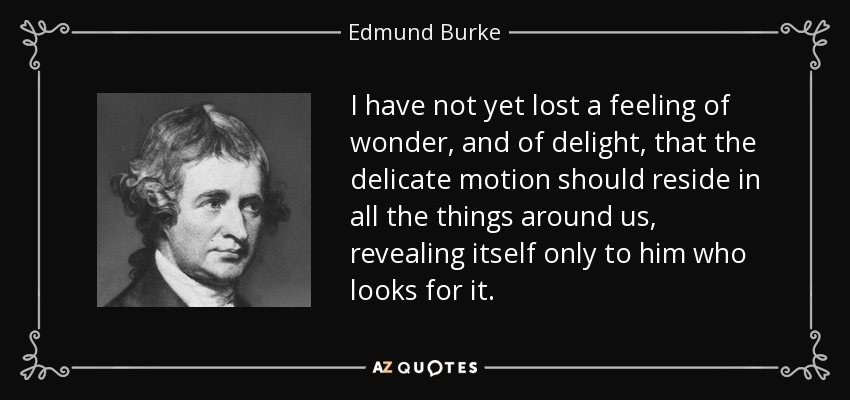 I have not yet lost a feeling of wonder, and of delight, that the delicate motion should reside in all the things around us, revealing itself only to him who looks for it. - Edmund Burke