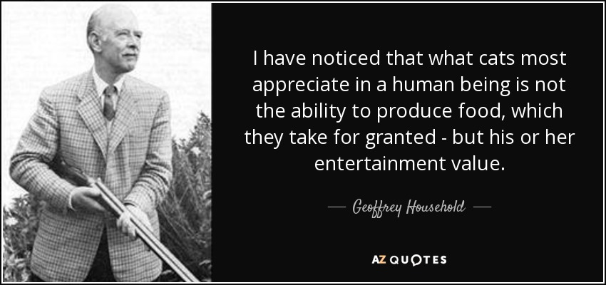 I have noticed that what cats most appreciate in a human being is not the ability to produce food, which they take for granted - but his or her entertainment value. - Geoffrey Household