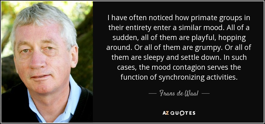 I have often noticed how primate groups in their entirety enter a similar mood. All of a sudden, all of them are playful, hopping around. Or all of them are grumpy. Or all of them are sleepy and settle down. In such cases, the mood contagion serves the function of synchronizing activities. - Frans de Waal