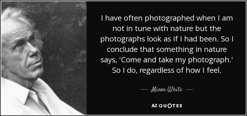 I have often photographed when I am not in tune with nature but the photographs look as if I had been. So I conclude that something in nature says, 'Come and take my photograph.' So I do, regardless of how I feel. - Minor White