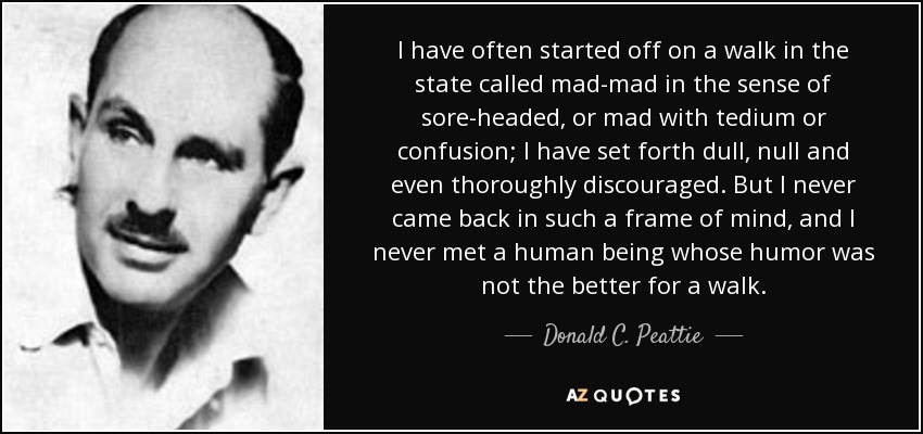 I have often started off on a walk in the state called mad-mad in the sense of sore-headed, or mad with tedium or confusion; I have set forth dull, null and even thoroughly discouraged. But I never came back in such a frame of mind, and I never met a human being whose humor was not the better for a walk. - Donald C. Peattie