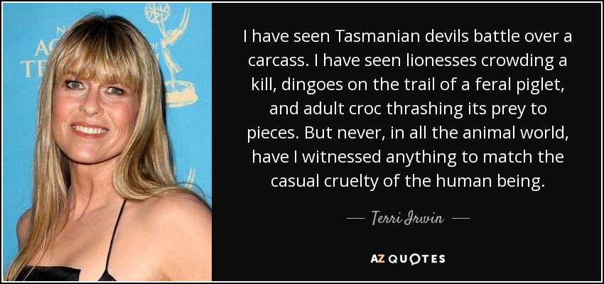 I have seen Tasmanian devils battle over a carcass. I have seen lionesses crowding a kill, dingoes on the trail of a feral piglet, and adult croc thrashing its prey to pieces. But never, in all the animal world, have I witnessed anything to match the casual cruelty of the human being. - Terri Irwin