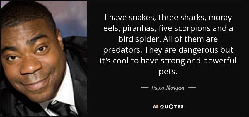 I have snakes, three sharks, moray eels, piranhas, five scorpions and a bird spider. All of them are predators. They are dangerous but it's cool to have strong and powerful pets. - Tracy Morgan