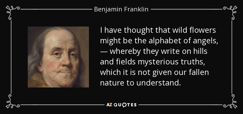 I have thought that wild flowers might be the alphabet of angels, — whereby they write on hills and fields mysterious truths, which it is not given our fallen nature to understand. - Benjamin Franklin