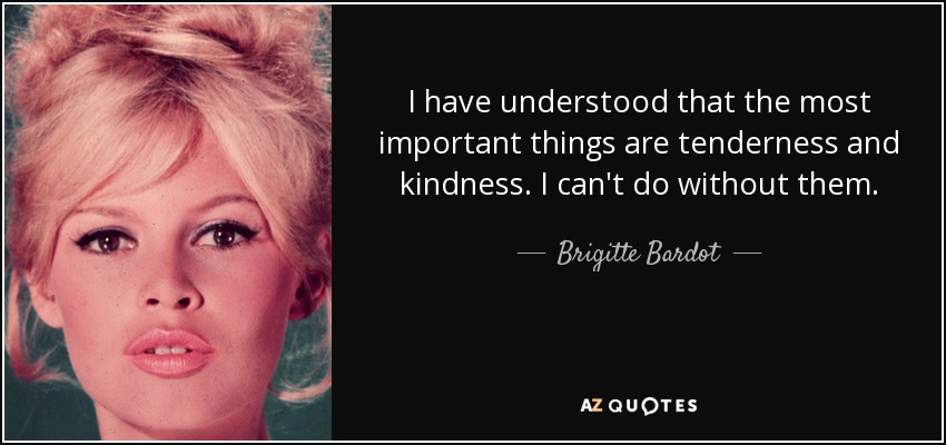 I have understood that the most important things are tenderness and kindness. I can't do without them. - Brigitte Bardot