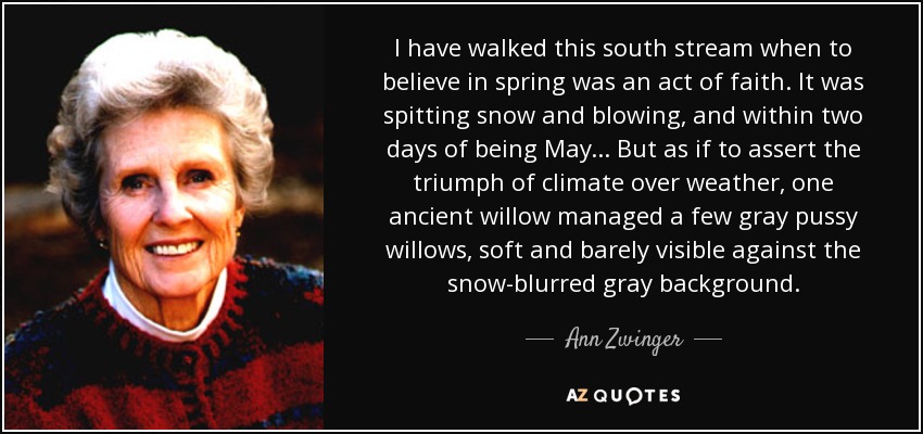 I have walked this south stream when to believe in spring was an act of faith. It was spitting snow and blowing, and within two days of being May ... But as if to assert the triumph of climate over weather, one ancient willow managed a few gray pussy willows, soft and barely visible against the snow-blurred gray background. - Ann Zwinger