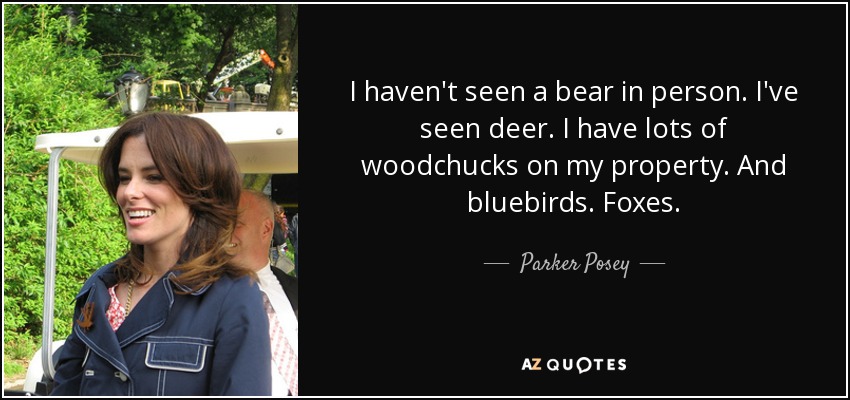I haven't seen a bear in person. I've seen deer. I have lots of woodchucks on my property. And bluebirds. Foxes. - Parker Posey