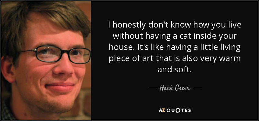 I honestly don't know how you live without having a cat inside your house. It's like having a little living piece of art that is also very warm and soft. - Hank Green