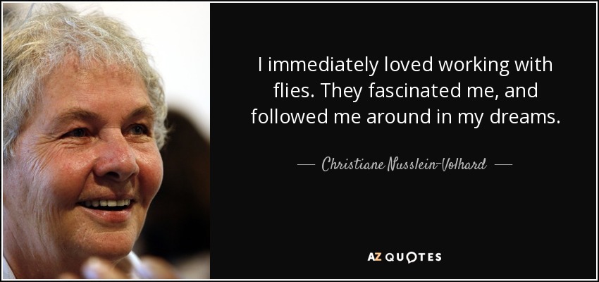 I immediately loved working with flies. They fascinated me, and followed me around in my dreams. - Christiane Nusslein-Volhard