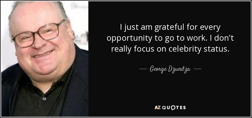 I just am grateful for every opportunity to go to work. I don't really focus on celebrity status. - George Dzundza