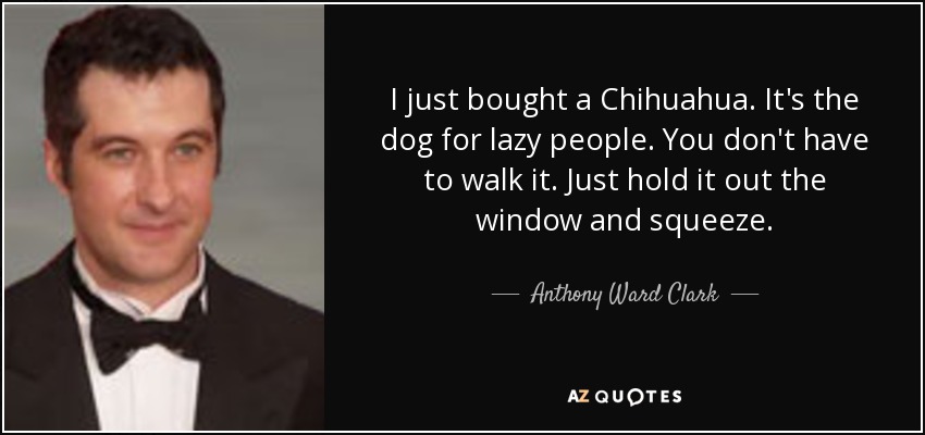 I just bought a Chihuahua. It's the dog for lazy people. You don't have to walk it. Just hold it out the window and squeeze. - Anthony Ward Clark