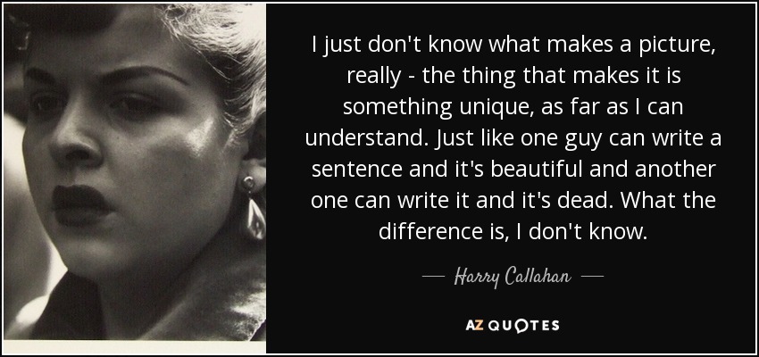 I just don't know what makes a picture, really - the thing that makes it is something unique, as far as I can understand. Just like one guy can write a sentence and it's beautiful and another one can write it and it's dead. What the difference is, I don't know. - Harry Callahan