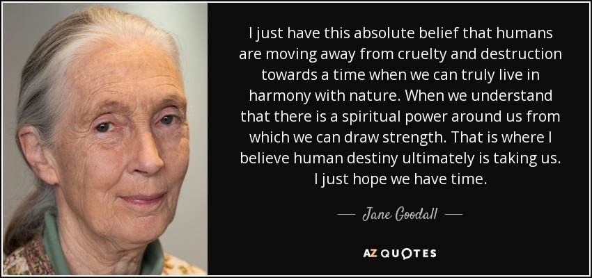 I just have this absolute belief that humans are moving away from cruelty and destruction towards a time when we can truly live in harmony with nature. When we understand that there is a spiritual power around us from which we can draw strength. That is where I believe human destiny ultimately is taking us. I just hope we have time. - Jane Goodall