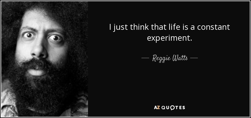 I just think that life is a constant experiment. - Reggie Watts