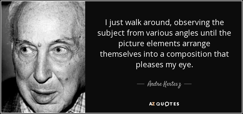 I just walk around, observing the subject from various angles until the picture elements arrange themselves into a composition that pleases my eye. - Andre Kertesz
