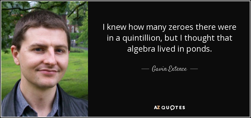 I knew how many zeroes there were in a quintillion, but I thought that algebra lived in ponds. - Gavin Extence