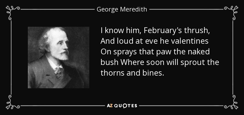 I know him, February's thrush, And loud at eve he valentines On sprays that paw the naked bush Where soon will sprout the thorns and bines. - George Meredith