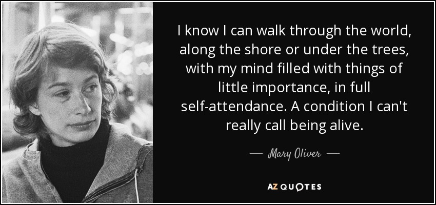I know I can walk through the world, along the shore or under the trees, with my mind filled with things of little importance, in full self-attendance. A condition I can't really call being alive. - Mary Oliver