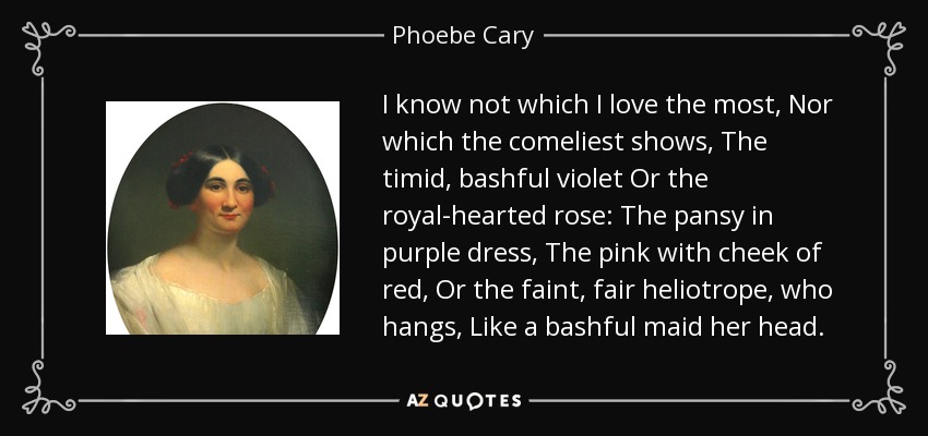 I know not which I love the most, Nor which the comeliest shows, The timid, bashful violet Or the royal-hearted rose: The pansy in purple dress, The pink with cheek of red, Or the faint, fair heliotrope, who hangs, Like a bashful maid her head. - Phoebe Cary