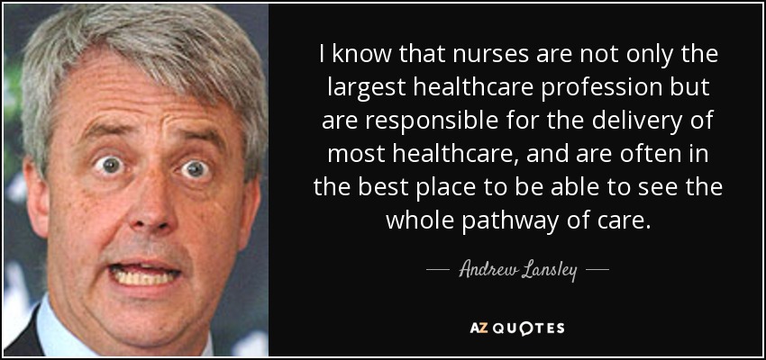I know that nurses are not only the largest healthcare profession but are responsible for the delivery of most healthcare, and are often in the best place to be able to see the whole pathway of care. - Andrew Lansley