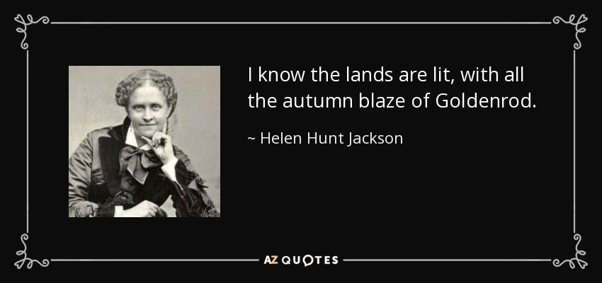 I know the lands are lit, with all the autumn blaze of Goldenrod. - Helen Hunt Jackson