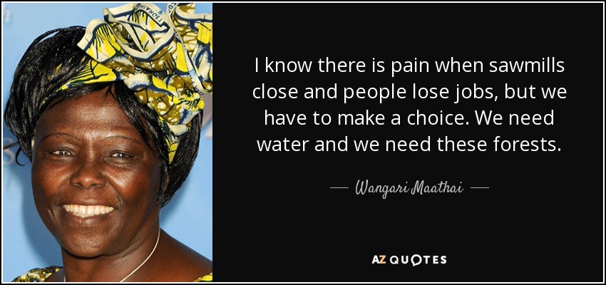 I know there is pain when sawmills close and people lose jobs, but we have to make a choice. We need water and we need these forests. - Wangari Maathai