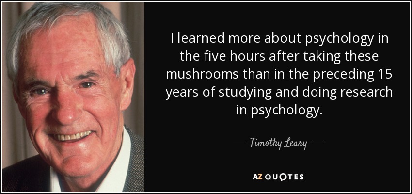 I learned more about psychology in the five hours after taking these mushrooms than in the preceding 15 years of studying and doing research in psychology. - Timothy Leary