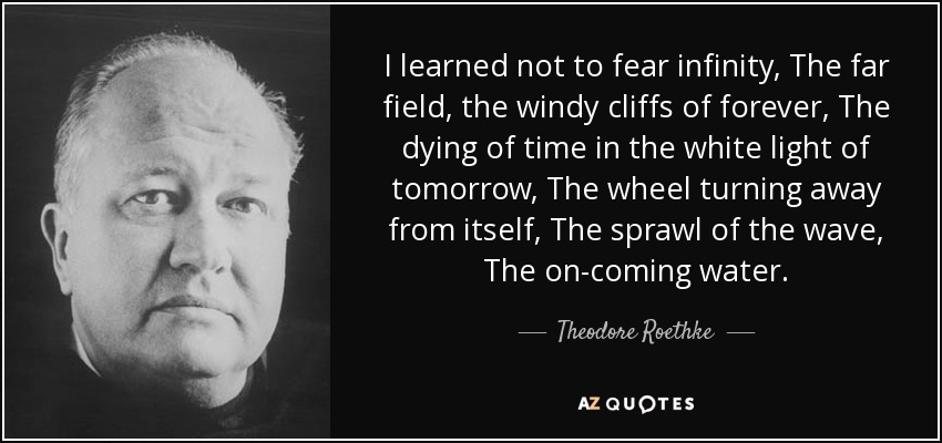 I learned not to fear infinity, The far field, the windy cliffs of forever, The dying of time in the white light of tomorrow, The wheel turning away from itself, The sprawl of the wave, The on-coming water. - Theodore Roethke