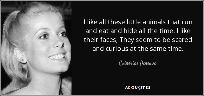I like all these little animals that run and eat and hide all the time. I like their faces, They seem to be scared and curious at the same time. - Catherine Deneuve