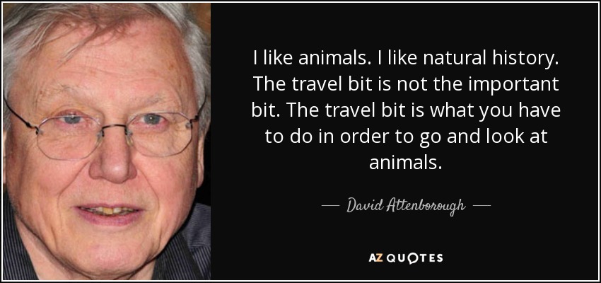 I like animals. I like natural history. The travel bit is not the important bit. The travel bit is what you have to do in order to go and look at animals. - David Attenborough