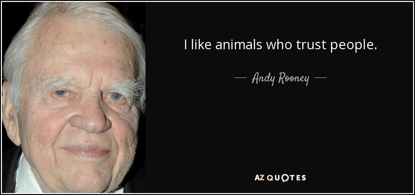 I like animals who trust people. - Andy Rooney