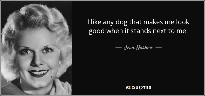 I like any dog that makes me look good when it stands next to me. - Jean Harlow