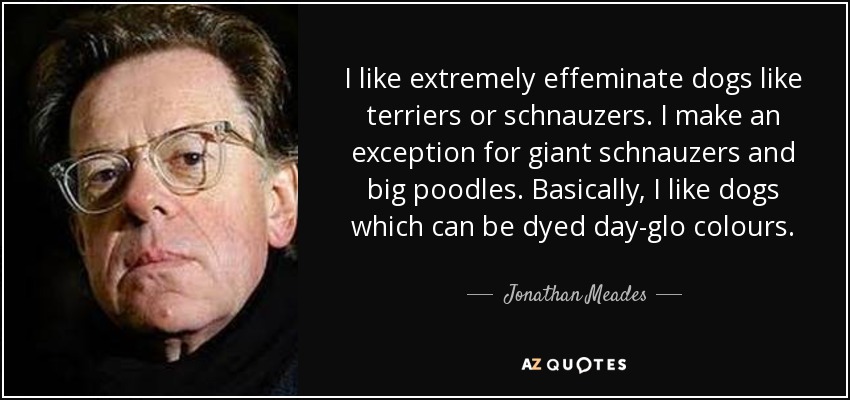 I like extremely effeminate dogs like terriers or schnauzers. I make an exception for giant schnauzers and big poodles. Basically, I like dogs which can be dyed day-glo colours. - Jonathan Meades