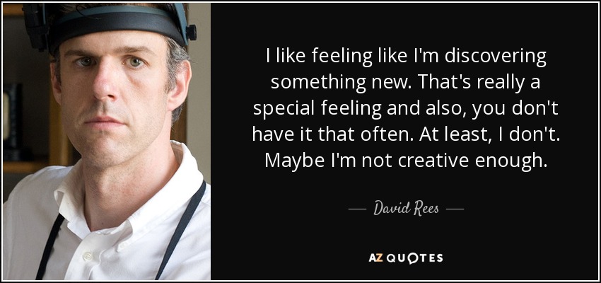 I like feeling like I'm discovering something new. That's really a special feeling and also, you don't have it that often. At least, I don't. Maybe I'm not creative enough. - David Rees