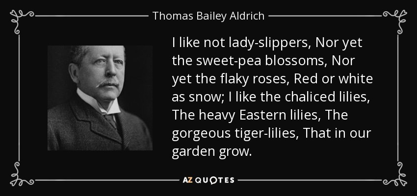I like not lady-slippers, Nor yet the sweet-pea blossoms, Nor yet the flaky roses, Red or white as snow; I like the chaliced lilies, The heavy Eastern lilies, The gorgeous tiger-lilies, That in our garden grow. - Thomas Bailey Aldrich