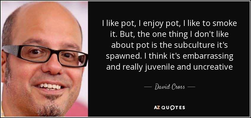 I like pot, I enjoy pot, I like to smoke it. But, the one thing I don't like about pot is the subculture it's spawned. I think it's embarrassing and really juvenile and uncreative - David Cross