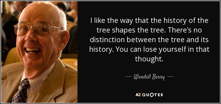 I like the way that the history of the tree shapes the tree. There's no distinction between the tree and its history. You can lose yourself in that thought. - Wendell Berry