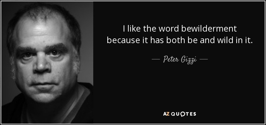 I like the word bewilderment because it has both be and wild in it. - Peter Gizzi