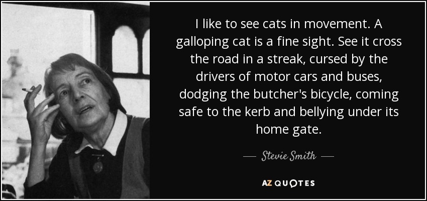 I like to see cats in movement. A galloping cat is a fine sight. See it cross the road in a streak, cursed by the drivers of motor cars and buses, dodging the butcher's bicycle, coming safe to the kerb and bellying under its home gate. - Stevie Smith