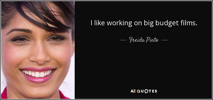 I like working on big budget films. - Freida Pinto