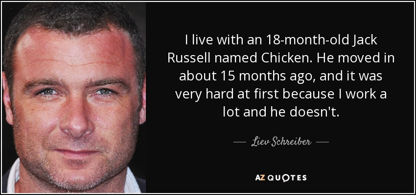 I live with an 18-month-old Jack Russell named Chicken. He moved in about 15 months ago, and it was very hard at first because I work a lot and he doesn't. - Liev Schreiber