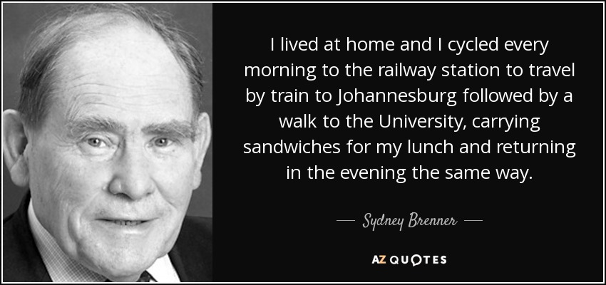 I lived at home and I cycled every morning to the railway station to travel by train to Johannesburg followed by a walk to the University, carrying sandwiches for my lunch and returning in the evening the same way. - Sydney Brenner