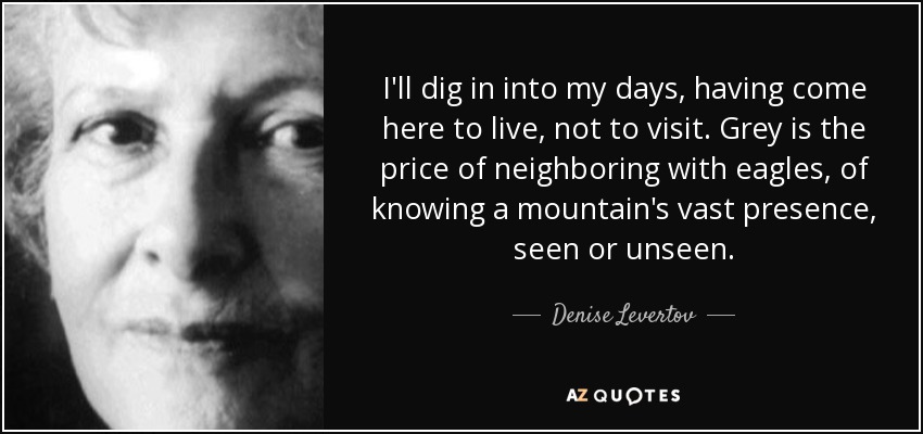 I'll dig in into my days, having come here to live, not to visit. Grey is the price of neighboring with eagles, of knowing a mountain's vast presence, seen or unseen. - Denise Levertov