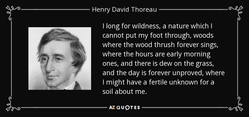 I long for wildness, a nature which I cannot put my foot through, woods where the wood thrush forever sings, where the hours are early morning ones, and there is dew on the grass, and the day is forever unproved, where I might have a fertile unknown for a soil about me. - Henry David Thoreau