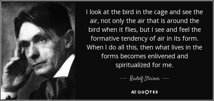 I look at the bird in the cage and see the air, not only the air that is around the bird when it flies, but I see and feel the formative tendency of air in its form. When I do all this, then what lives in the forms becomes enlivened and spiritualized for me. - Rudolf Steiner