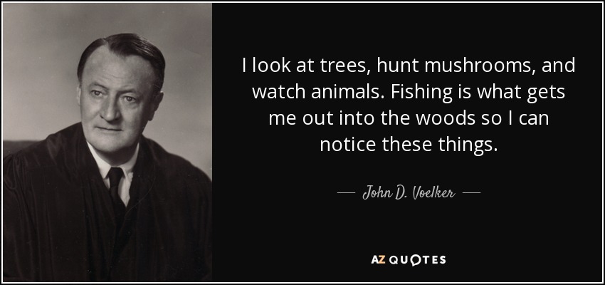 I look at trees, hunt mushrooms, and watch animals. Fishing is what gets me out into the woods so I can notice these things. - John D. Voelker