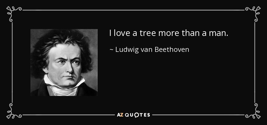 I love a tree more than a man. - Ludwig van Beethoven