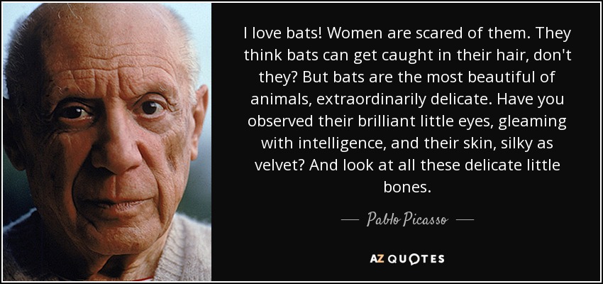 I love bats! Women are scared of them. They think bats can get caught in their hair, don't they? But bats are the most beautiful of animals, extraordinarily delicate. Have you observed their brilliant little eyes, gleaming with intelligence, and their skin, silky as velvet? And look at all these delicate little bones. - Pablo Picasso